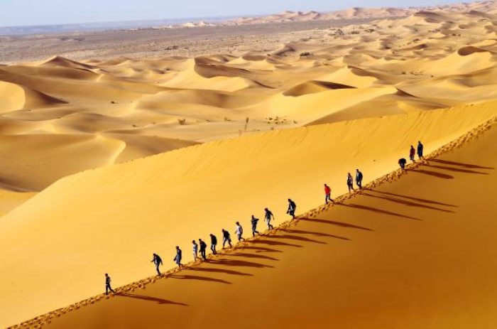 Taghit